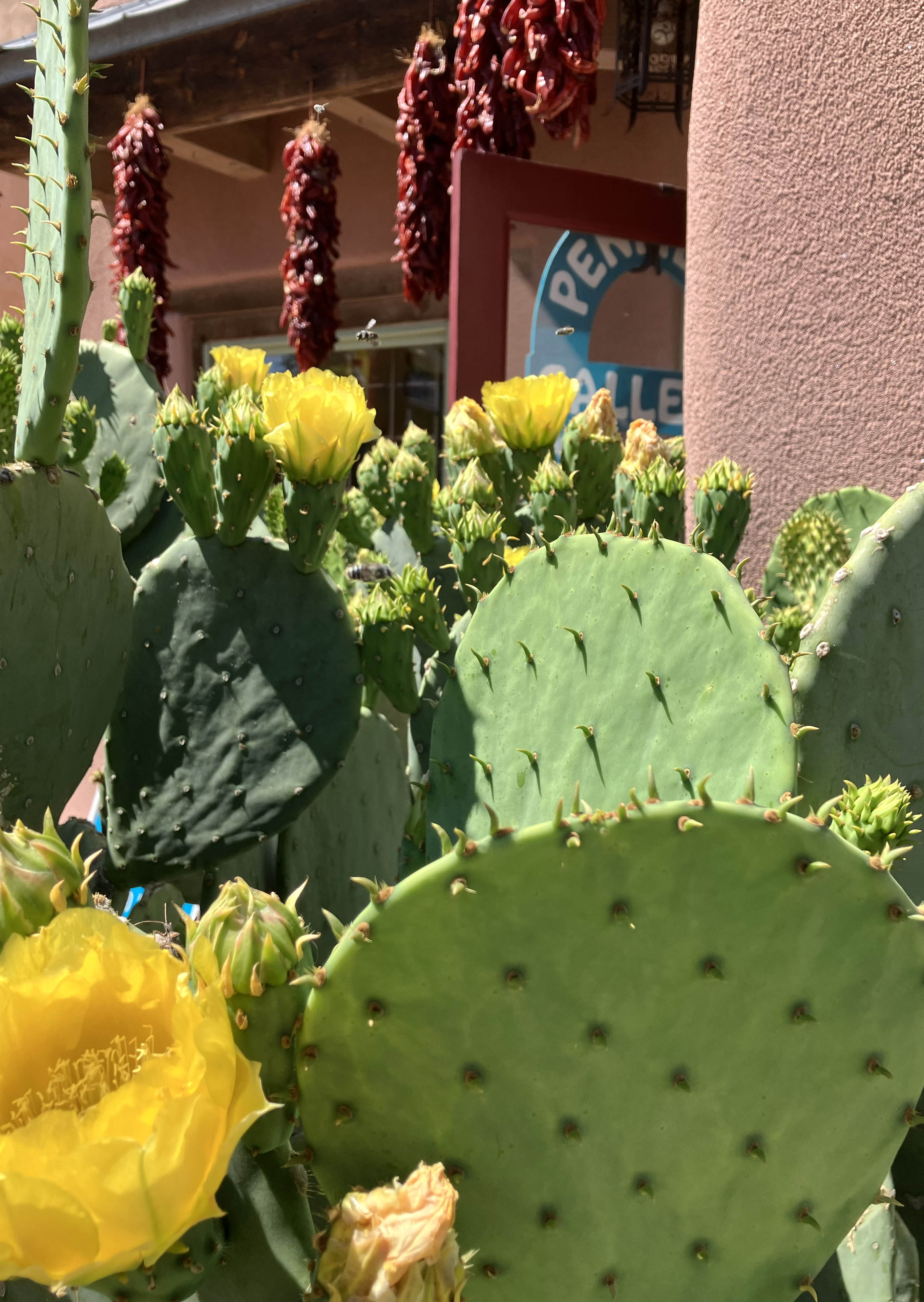 Penfield Gallery Store Front | Penfield Gallery of Indian Arts | Albuquerque, New Mexico